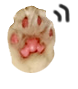 福猫・きゃろ