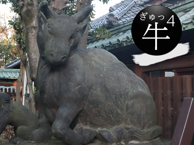 狛牛2