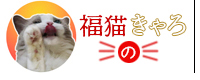 福猫きゃろの開運